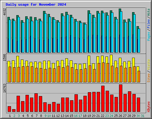 Daily usage for November 2024