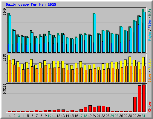 Daily usage for May 2025