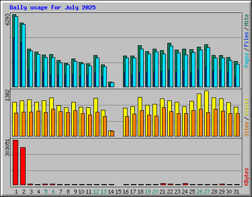 Daily usage for July 2025