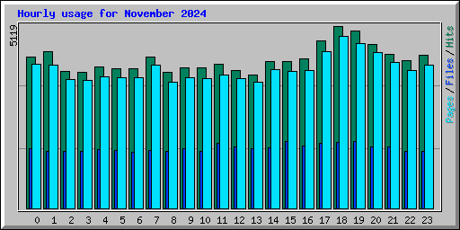 Hourly usage for November 2024