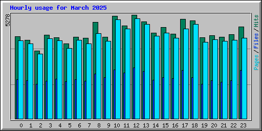 Hourly usage for March 2025