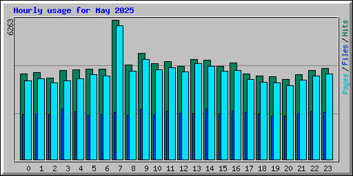 Hourly usage for May 2025