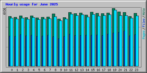Hourly usage for June 2025