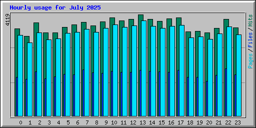 Hourly usage for July 2025
