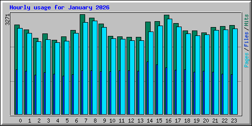 Hourly usage for January 2026