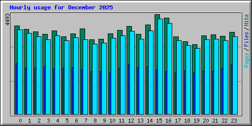 Hourly usage for December 2025