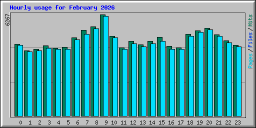Hourly usage for February 2026