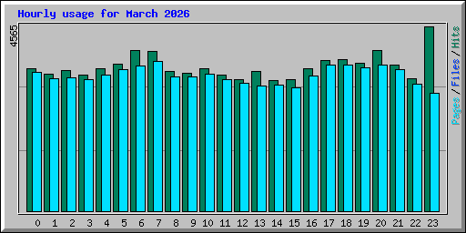 Hourly usage for March 2026